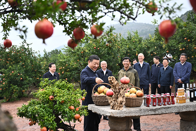 1-231014110211162 EMC易倍(中国区)官方网站